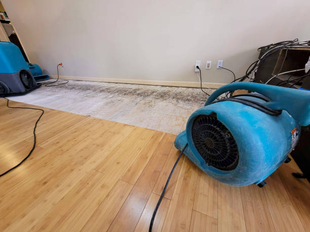 Professional Burst Pipe Water Damage technician working in Muenster, TX